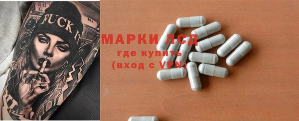ГАЛЛЮЦИНОГЕННЫЕ ГРИБЫ Аркадак