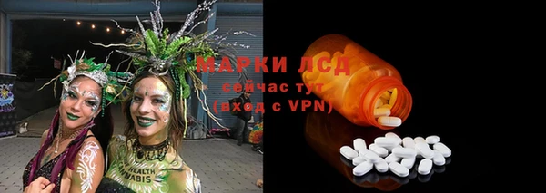 ГАЛЛЮЦИНОГЕННЫЕ ГРИБЫ Аркадак
