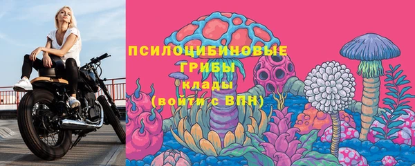 ГАЛЛЮЦИНОГЕННЫЕ ГРИБЫ Аркадак
