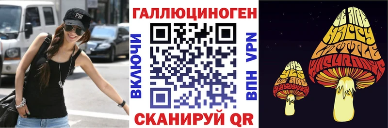 Галлюциногенные грибы Psilocybe  закладка  Солнечногорск 